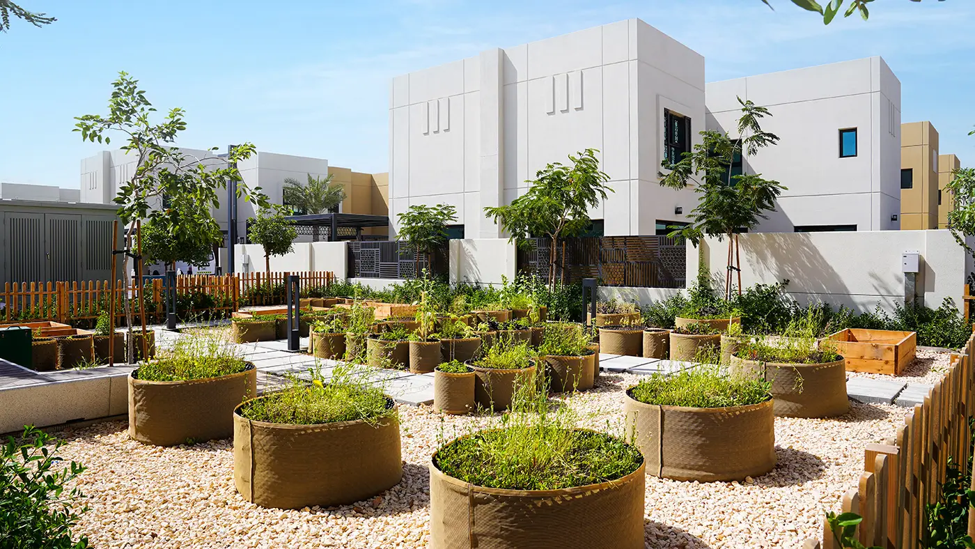 Community garden planters beside new homes in a Sustainable City